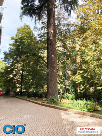 Appartamento con terrazzo a Bologna