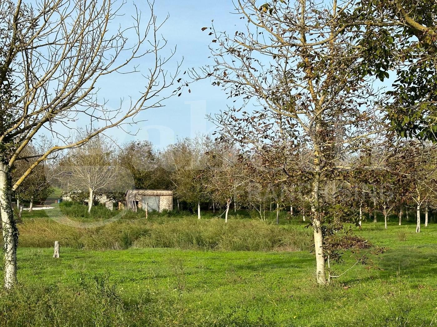 Terreno Agricolo in vendita a Fabrica di Roma