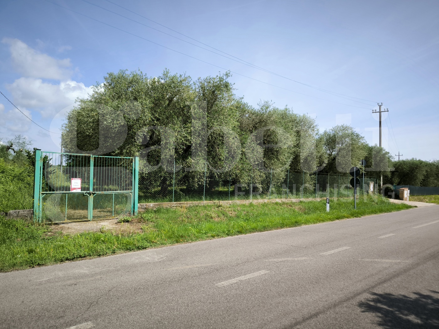 Terreno Agricolo in vendita a Fabrica di Roma