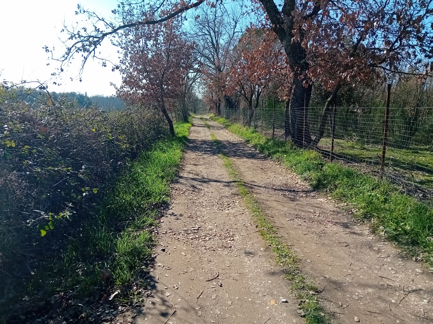 Terreno Edificabile in vendita a Civita Castellana