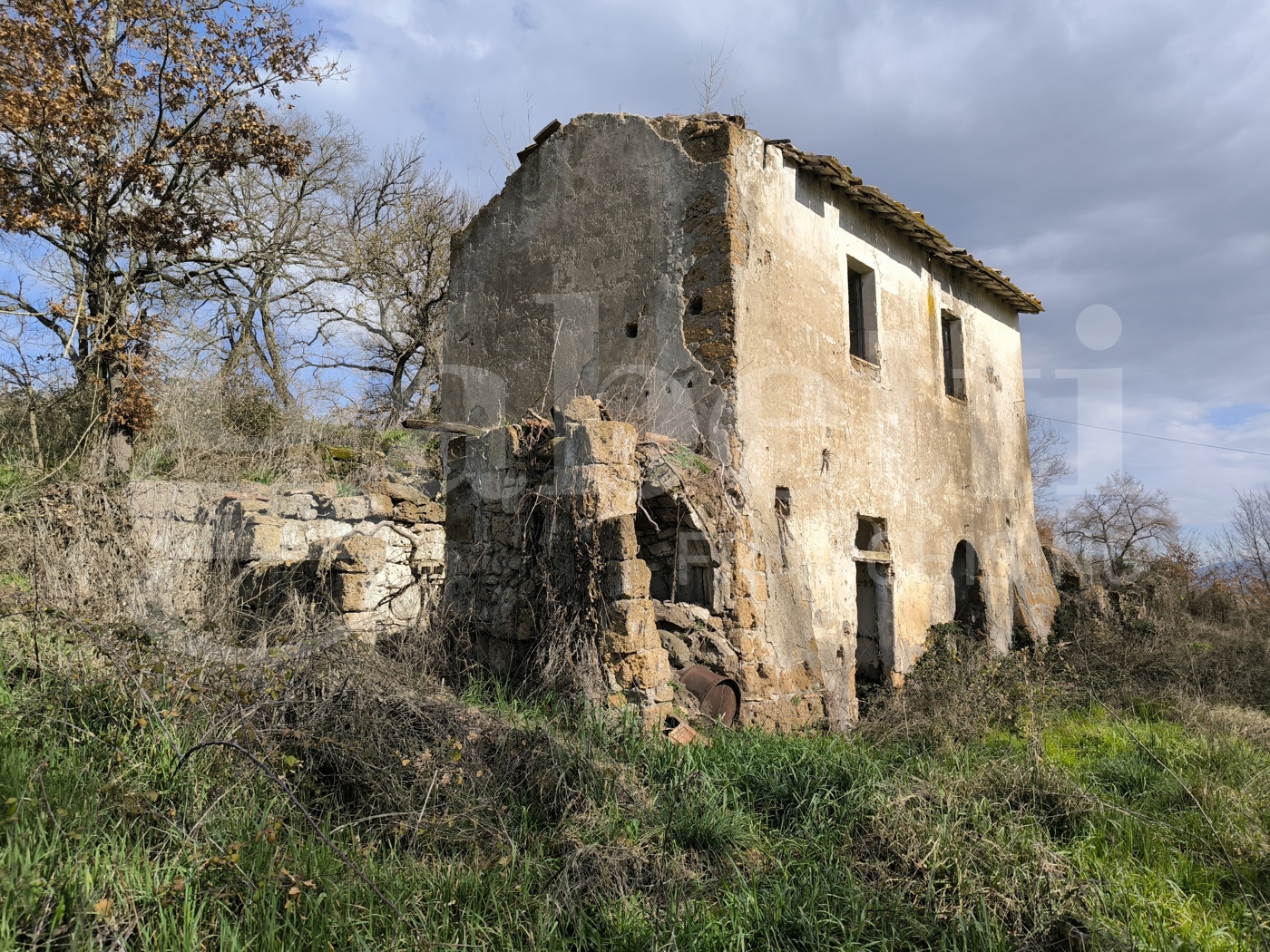 immagine annuncio 4 di 6