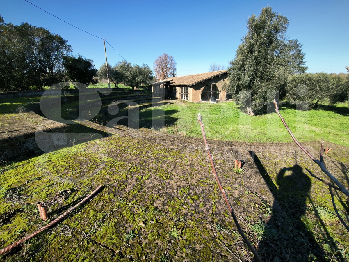 Villa in vendita a Gallese