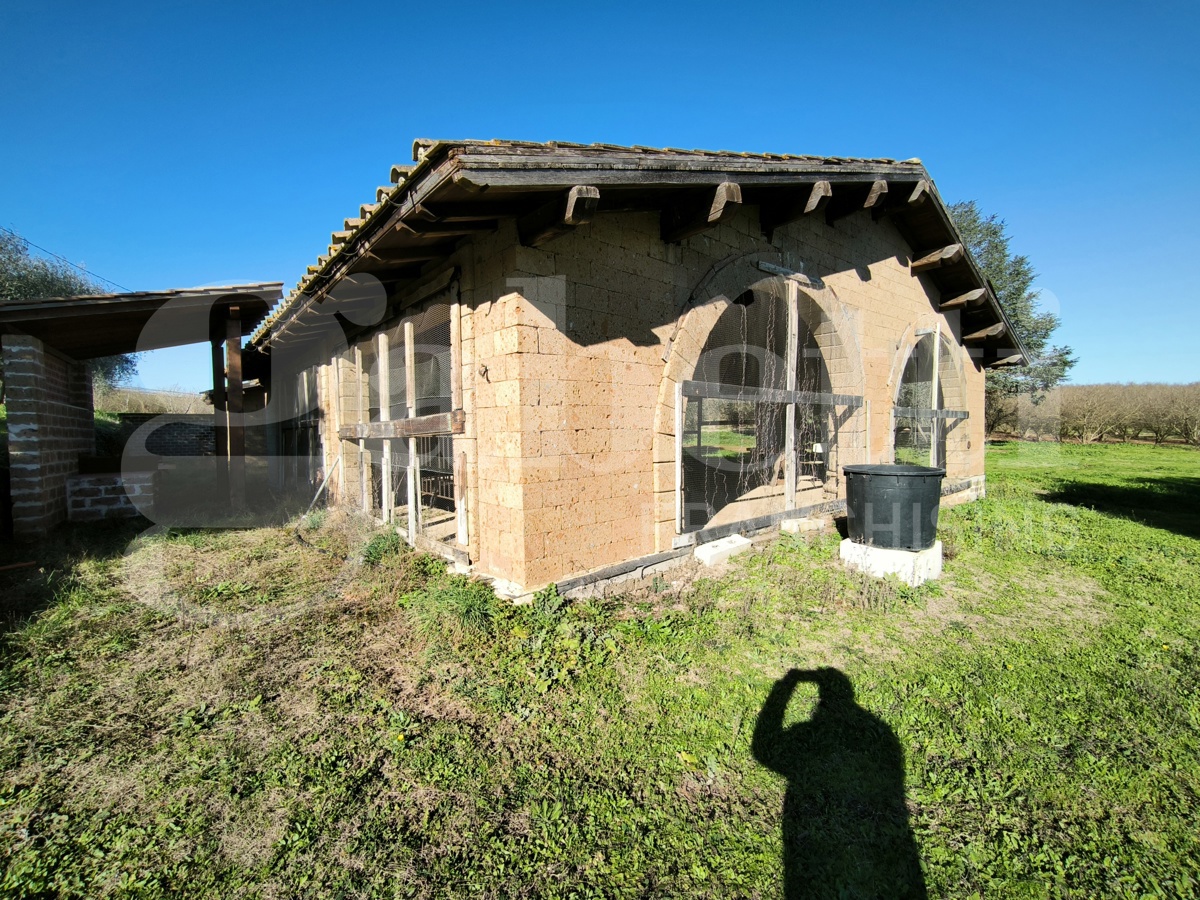 Villa in vendita a Gallese