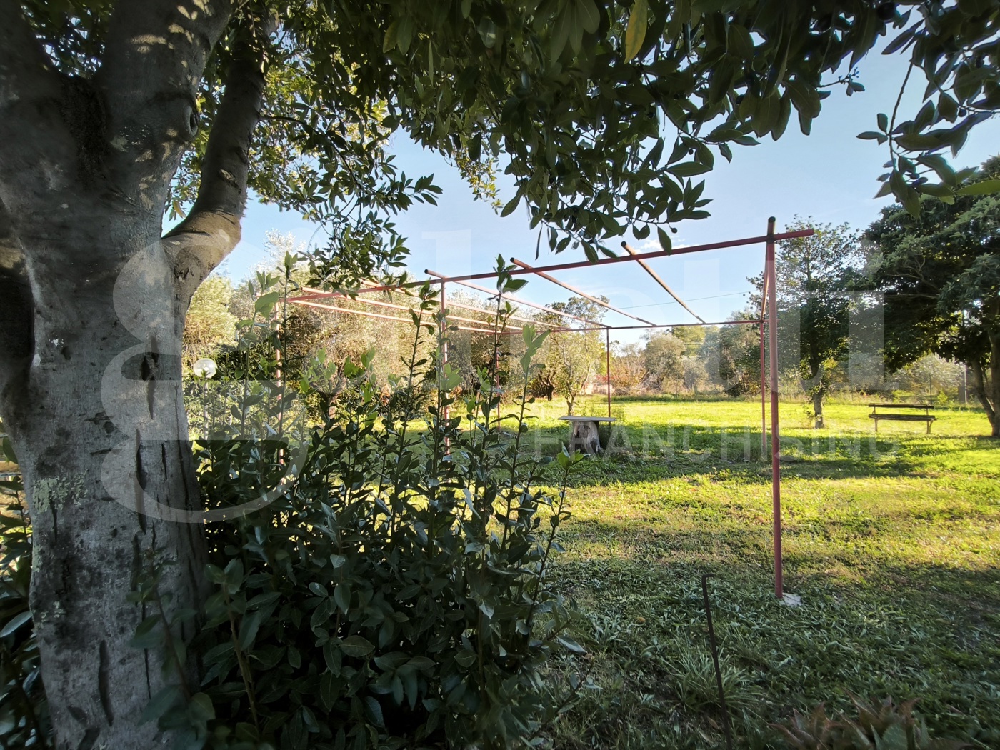 Appartamento in vendita a Corchiano