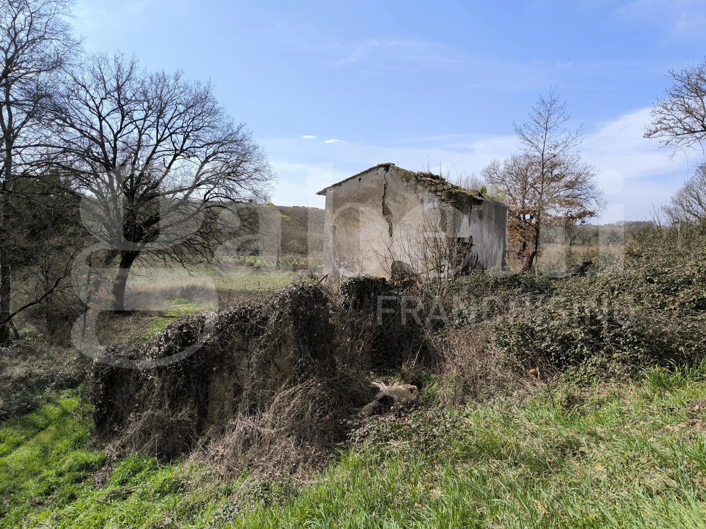 Rustico in vendita a Gallese