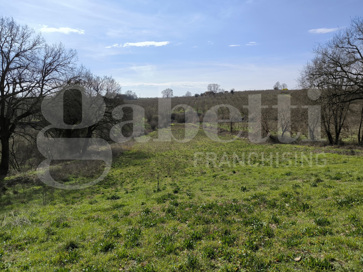 Rustico in vendita a Gallese