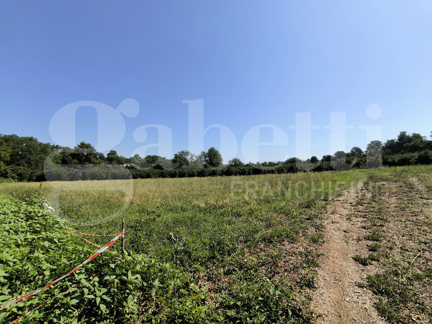 Terreno Agricolo in vendita a Gallese