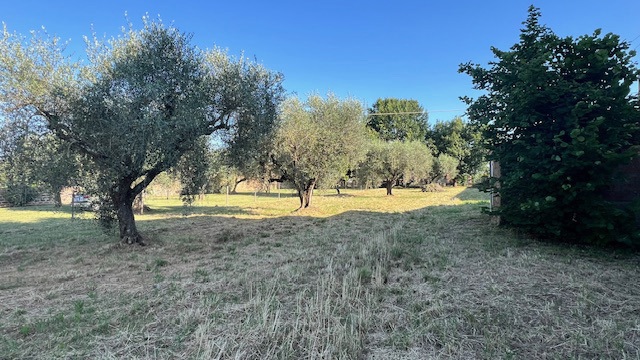 Terreno Agricolo in vendita a Civita Castellana