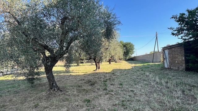 Terreno Agricolo in vendita a Civita Castellana