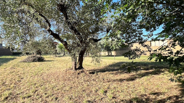 Terreno Agricolo in vendita a Civita Castellana