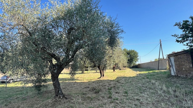 Terreno Agricolo in vendita a Civita Castellana