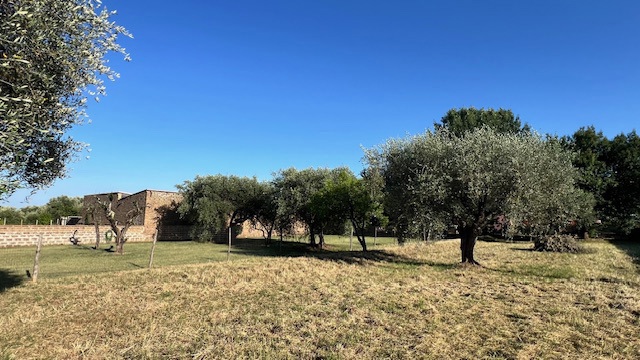 Terreno Agricolo in vendita a Civita Castellana