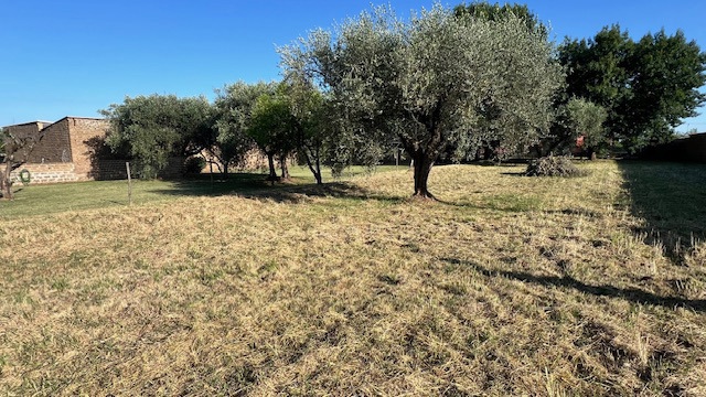 Terreno Agricolo in vendita a Civita Castellana