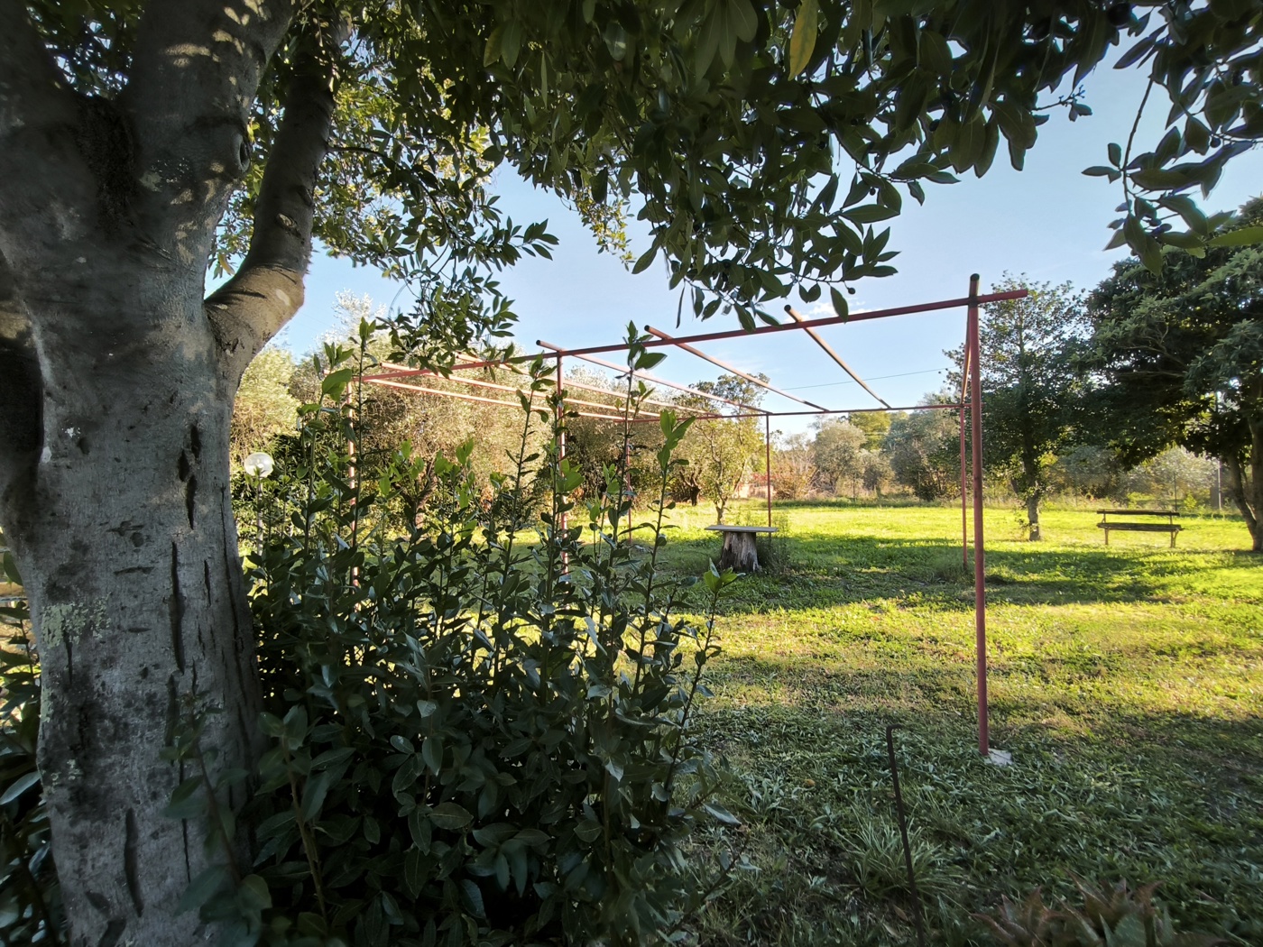 Appartamento con giardino a Corchiano