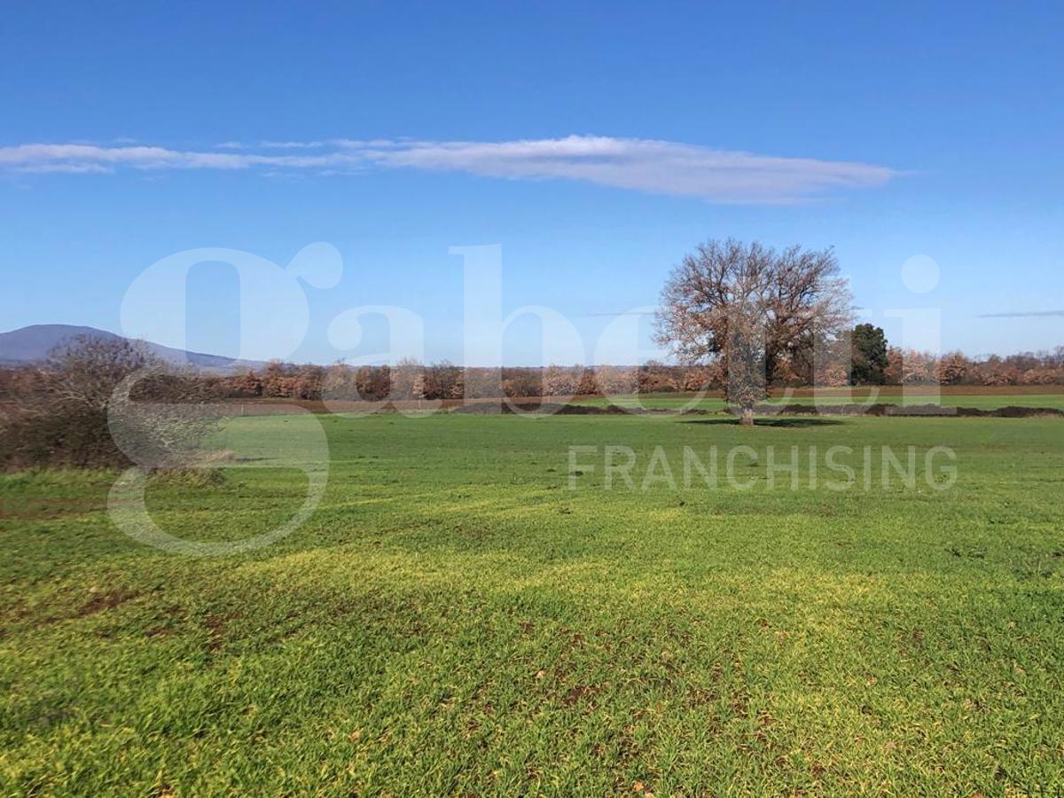 Terreno Agricolo in vendita a Civita Castellana