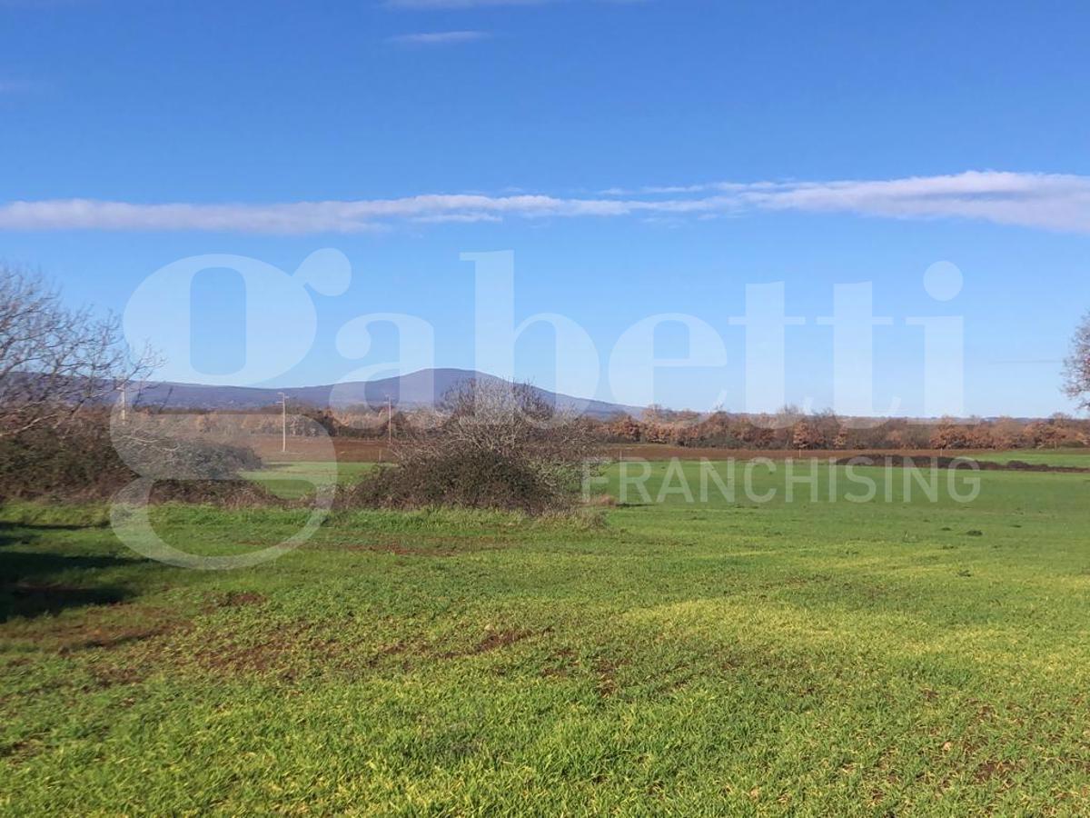 Terreno Agricolo in vendita a Civita Castellana