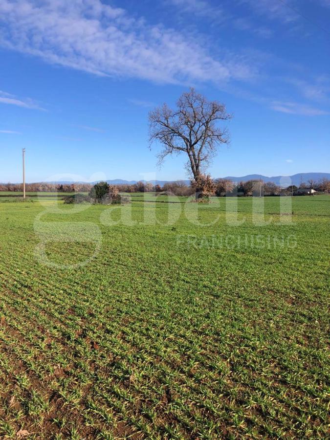 Terreno Agricolo in vendita a Civita Castellana