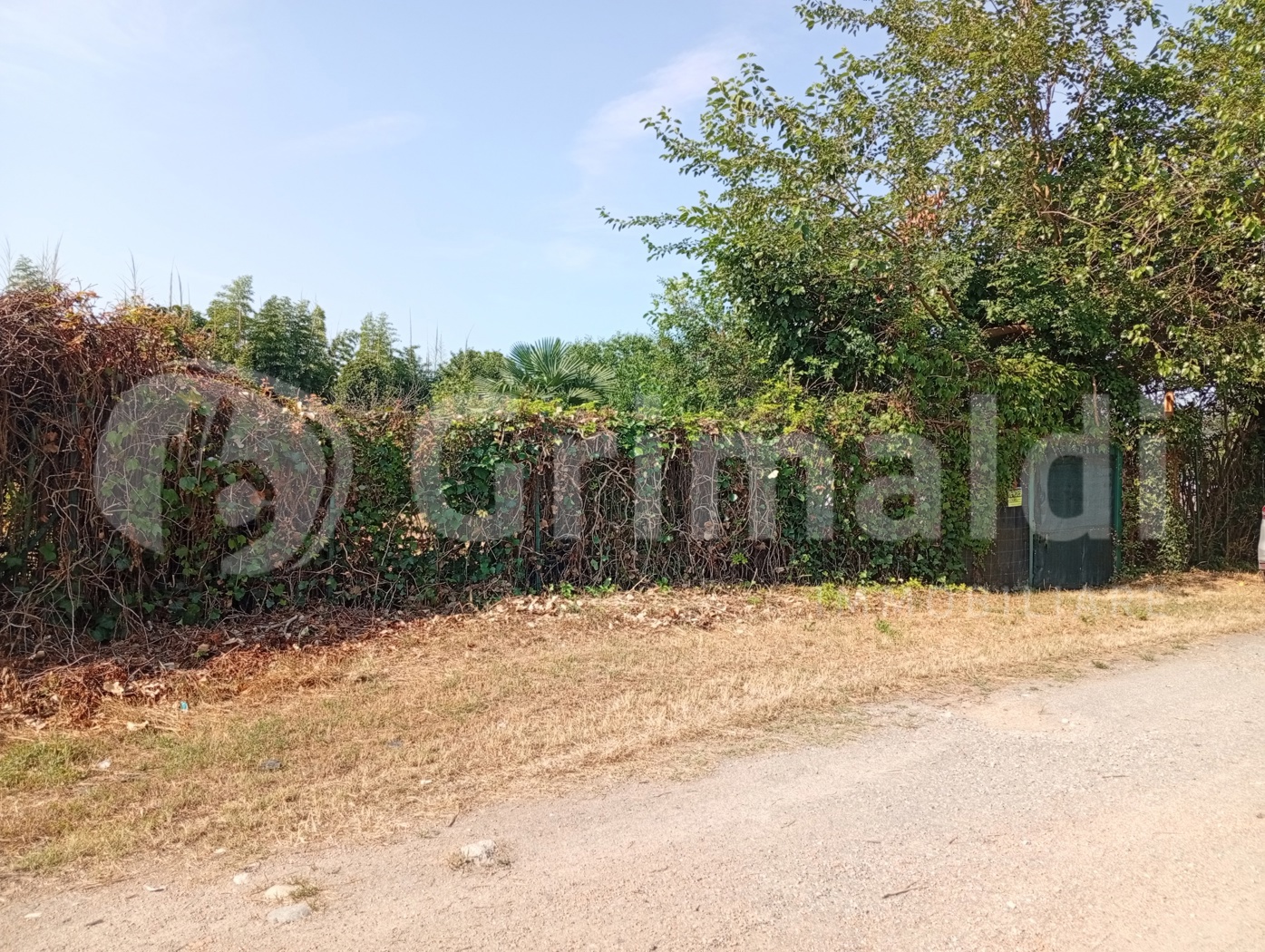 Terreno Agricolo in vendita a Beinasco