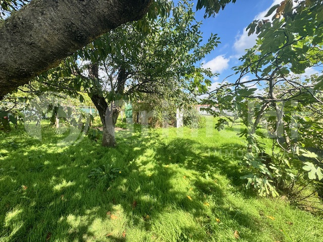Terreno Agricolo in vendita a Piossasco