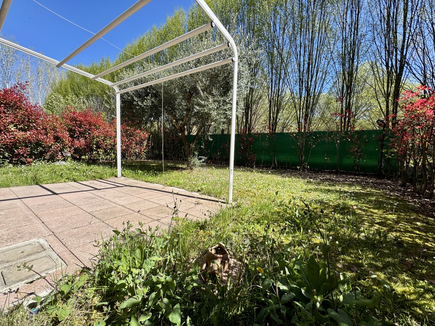 immagine annuncio 2 di 10