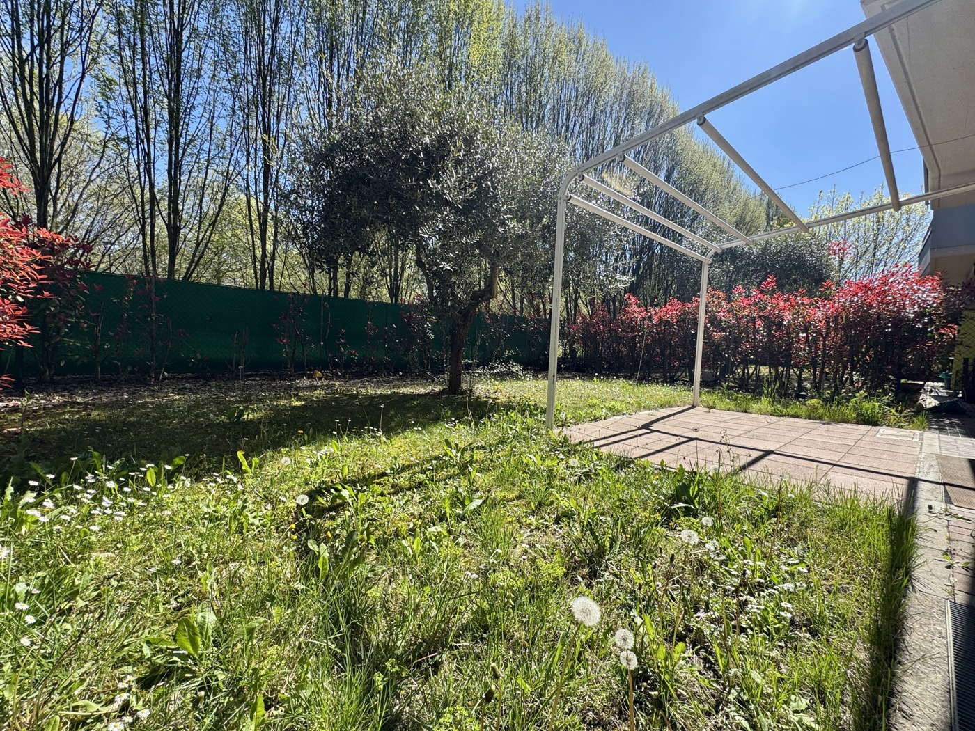 immagine annuncio 5 di 10