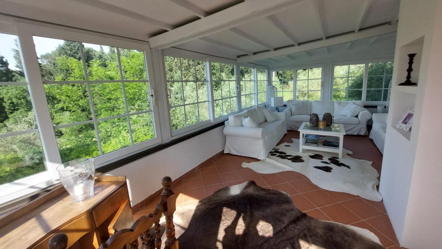 immagine annuncio 4 di 6