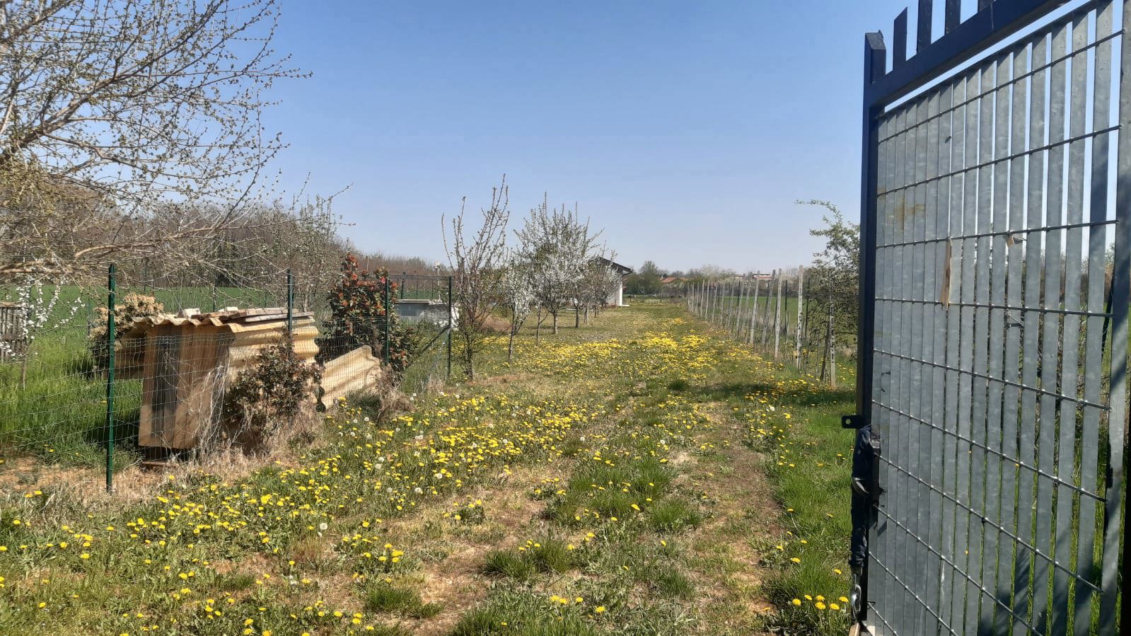 Terreno Agricolo in vendita a Piossasco