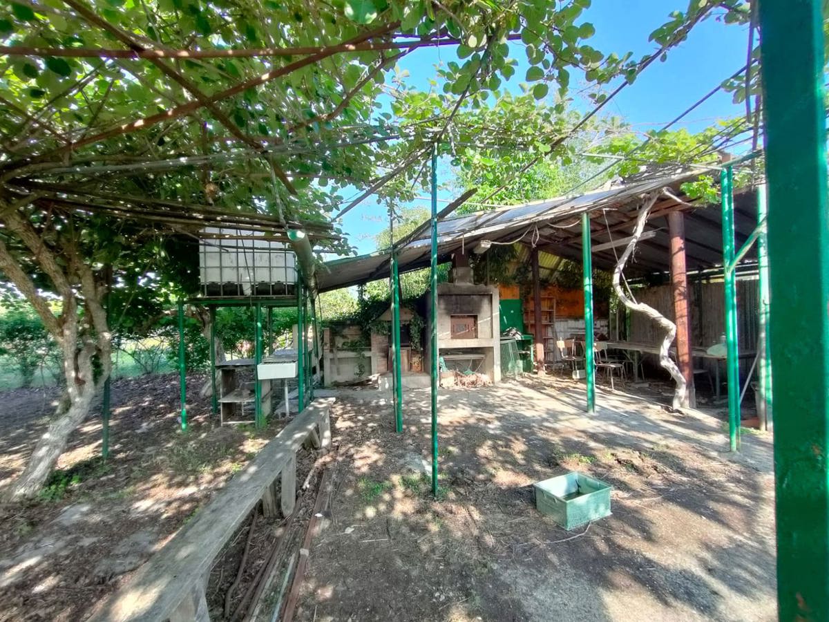 Terreno Agricolo in vendita a Beinasco