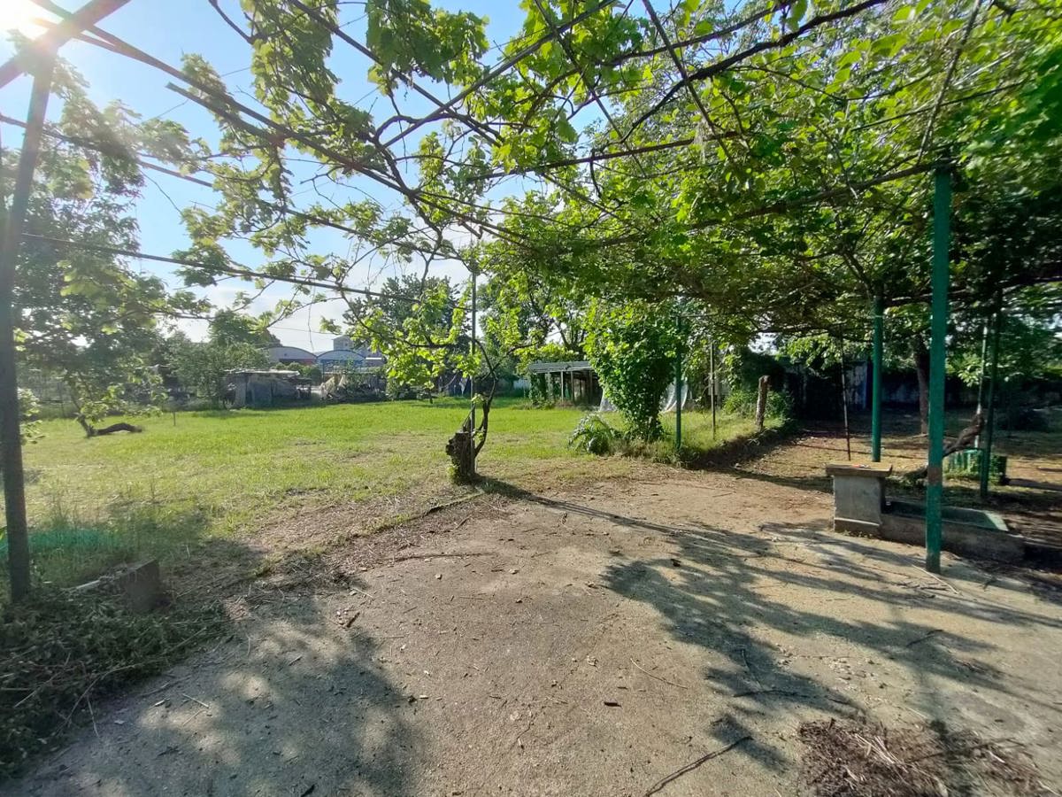 Terreno Agricolo in vendita a Beinasco