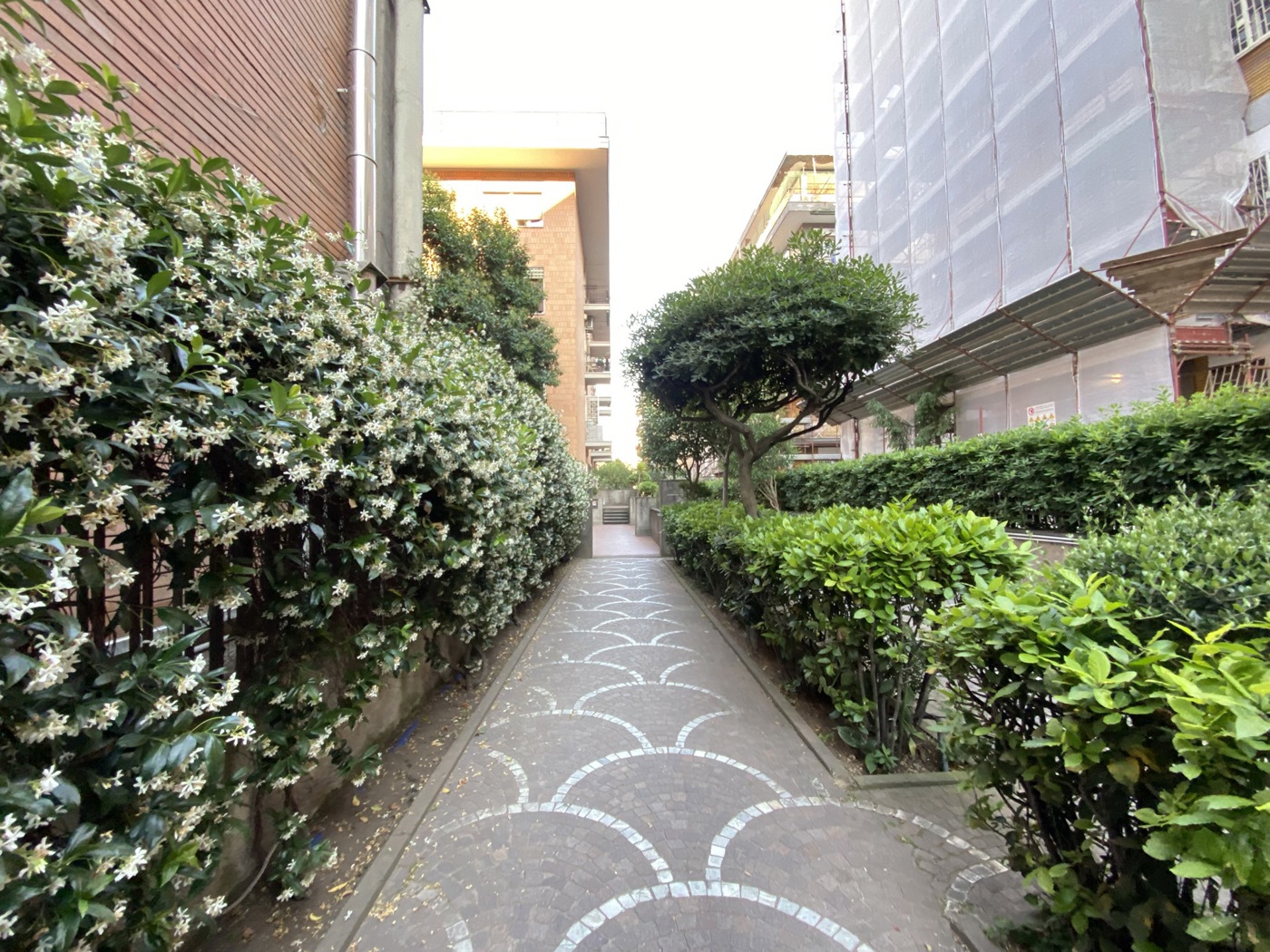 Bilocale in affitto a Roma