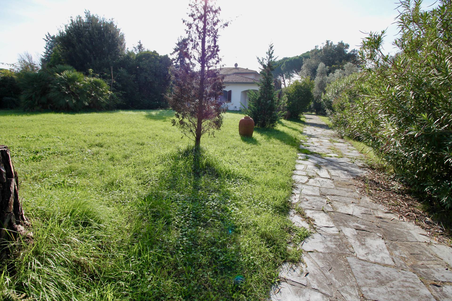 Villa singola in vendita a Cascina, San Frediano
