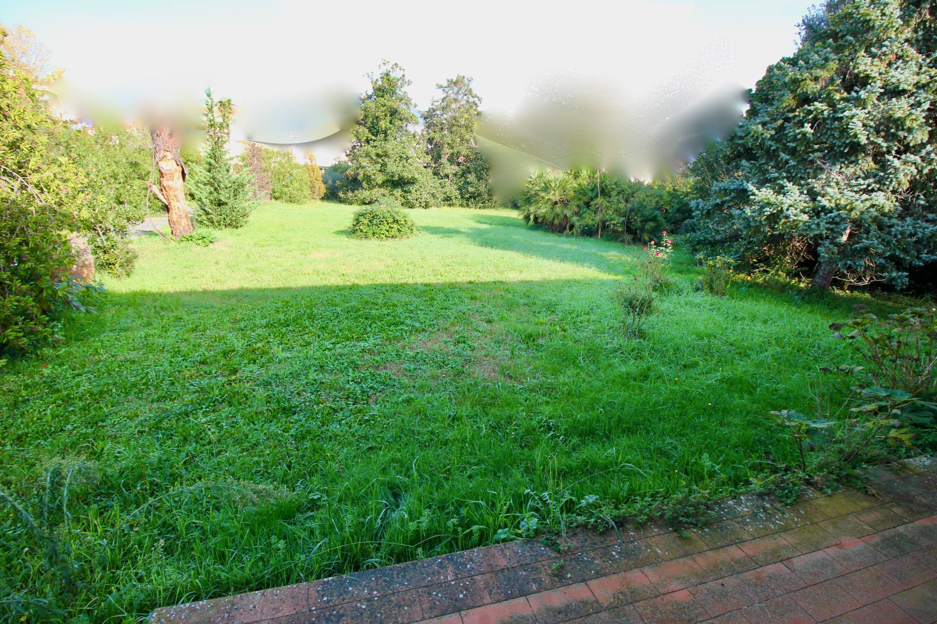 Villa singola in vendita a Cascina, San Frediano