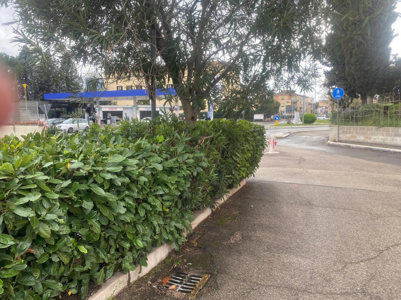 Monolocale in vendita a Terni