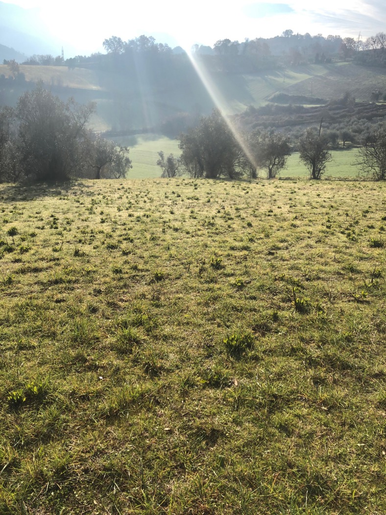 Terreno Edificabile in vendita a Terni