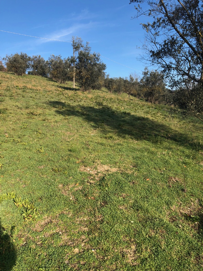 Terreno Edificabile in vendita a Terni