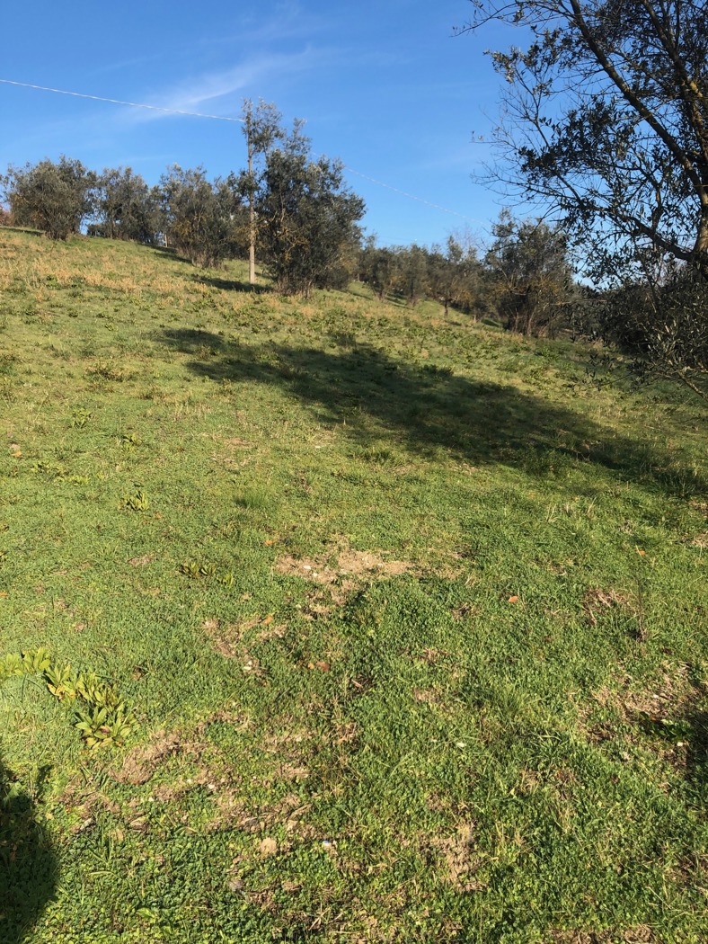 Terreno Edificabile in vendita a Terni