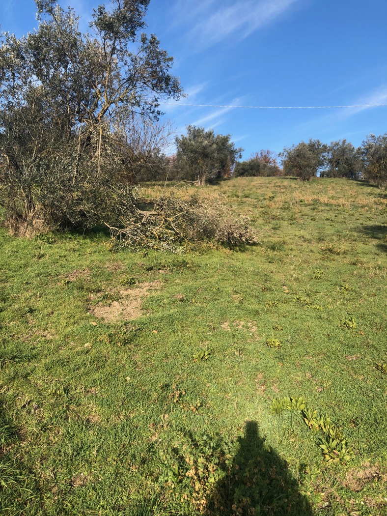 Terreno Edificabile in vendita a Terni