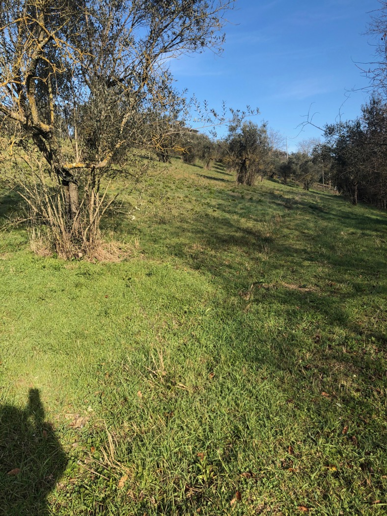 Terreno Edificabile in vendita a Terni