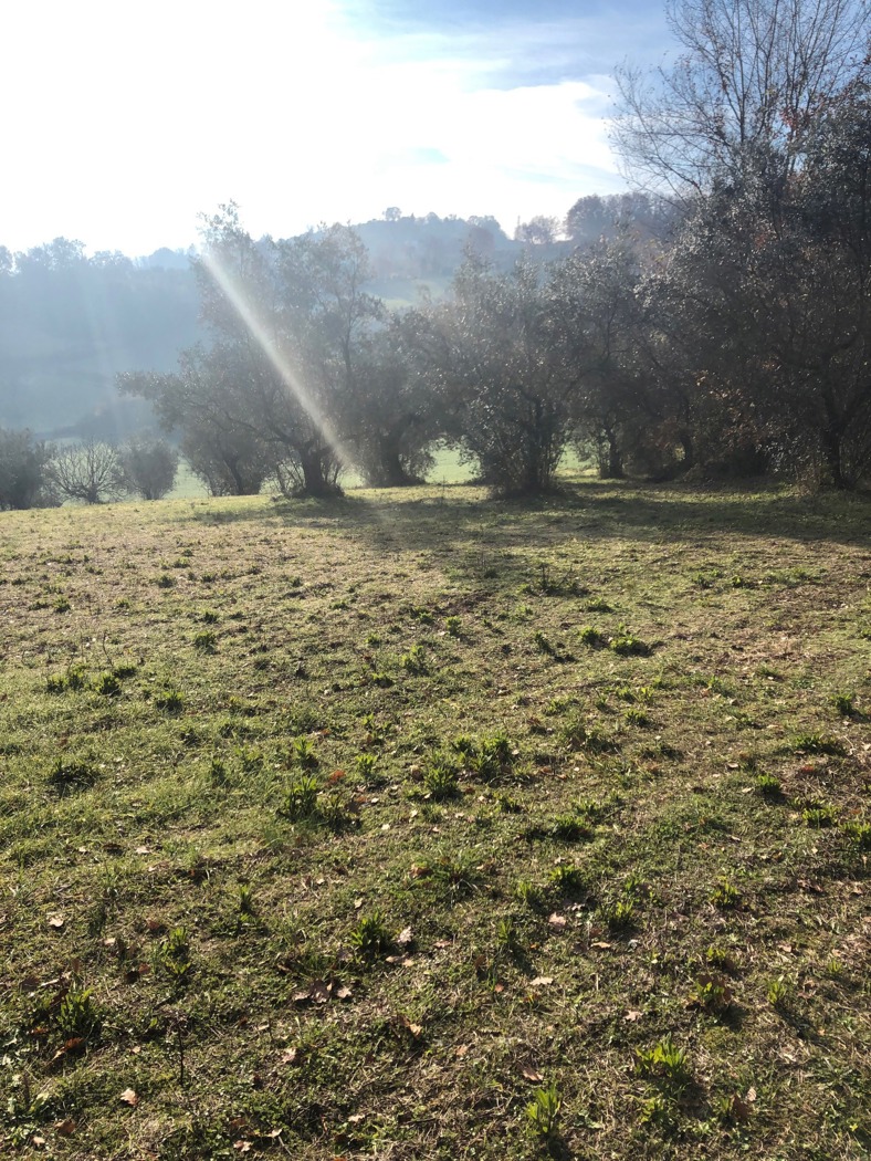 Terreno Edificabile in vendita a Terni