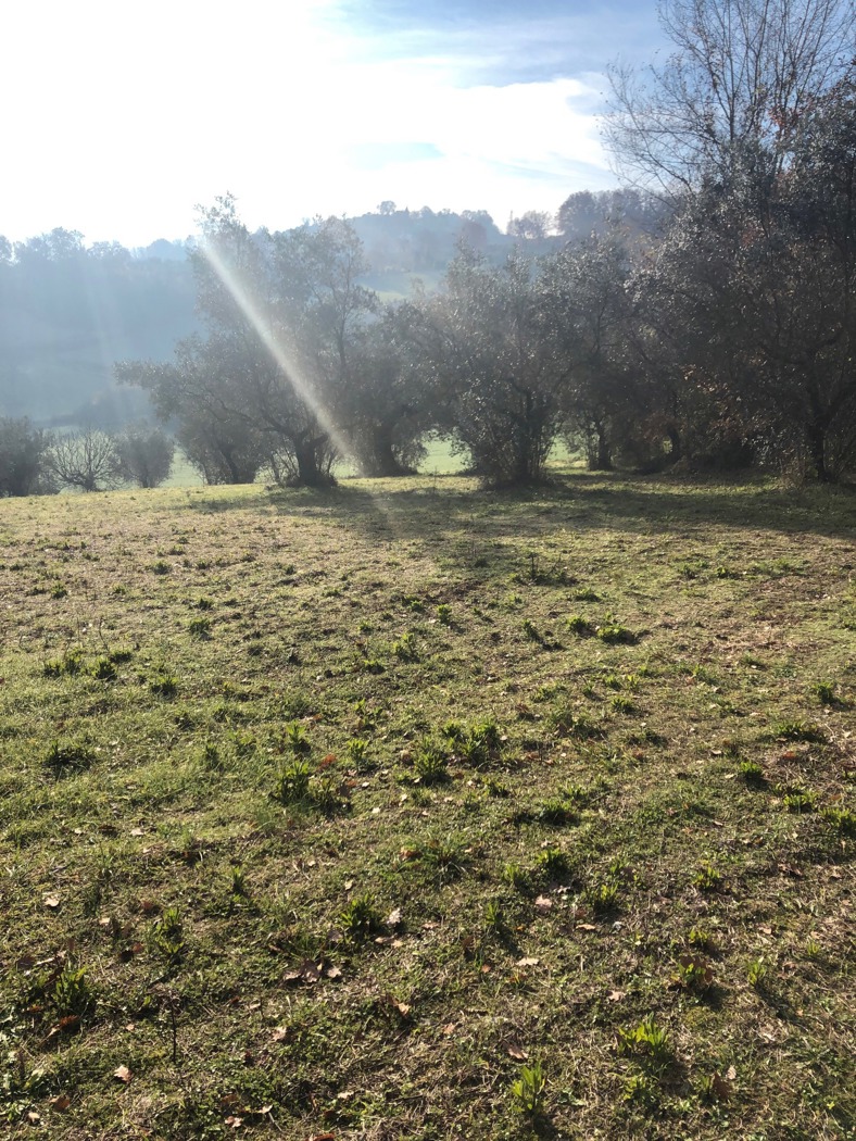 Terreno Edificabile in vendita a Terni