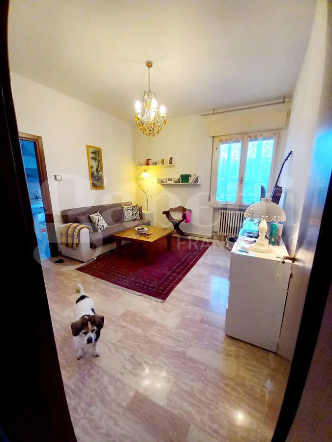 Appartamento arredato in affitto a Legnago