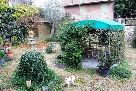 Casa indipendente con giardino a Orvieto