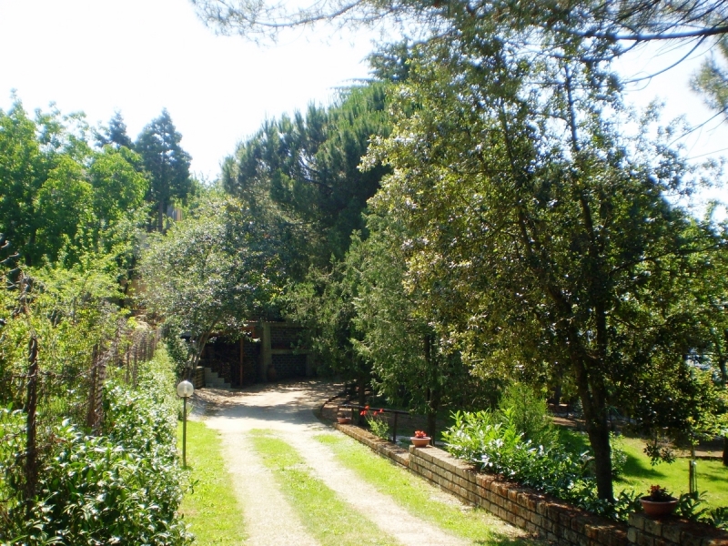 Vendesi casa indipendente con giardino a Rocca Massima