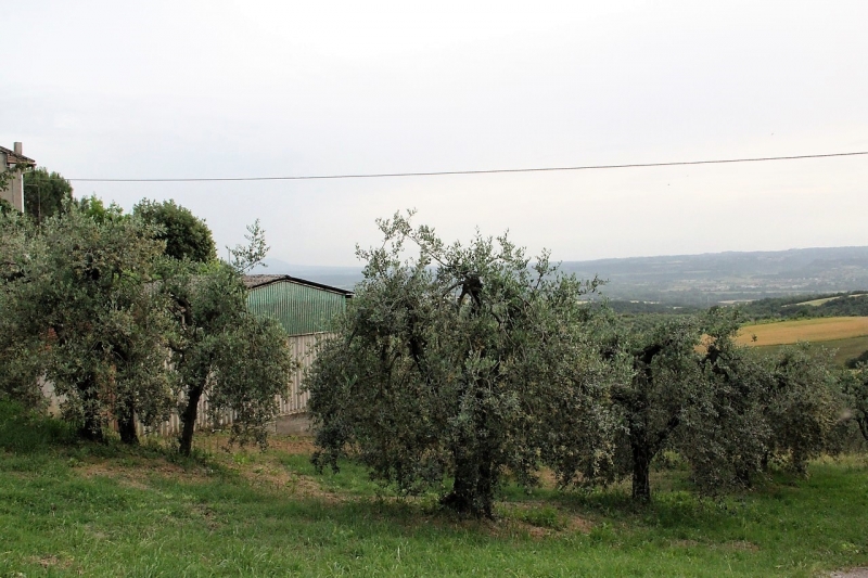 Terreno in Vendita a 30.000€