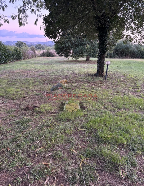 Casa indipendente con giardino a Castel Giorgio