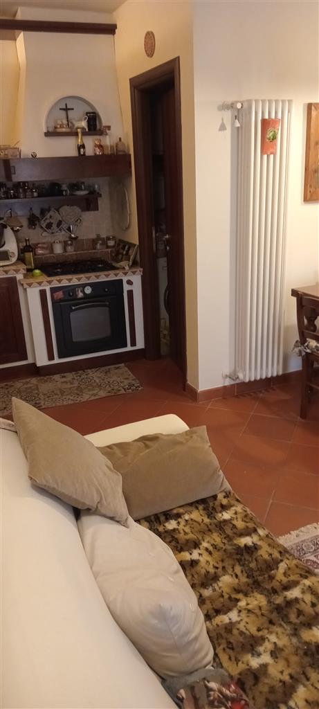Villetta a schiera con giardino, Pelago diacceto
