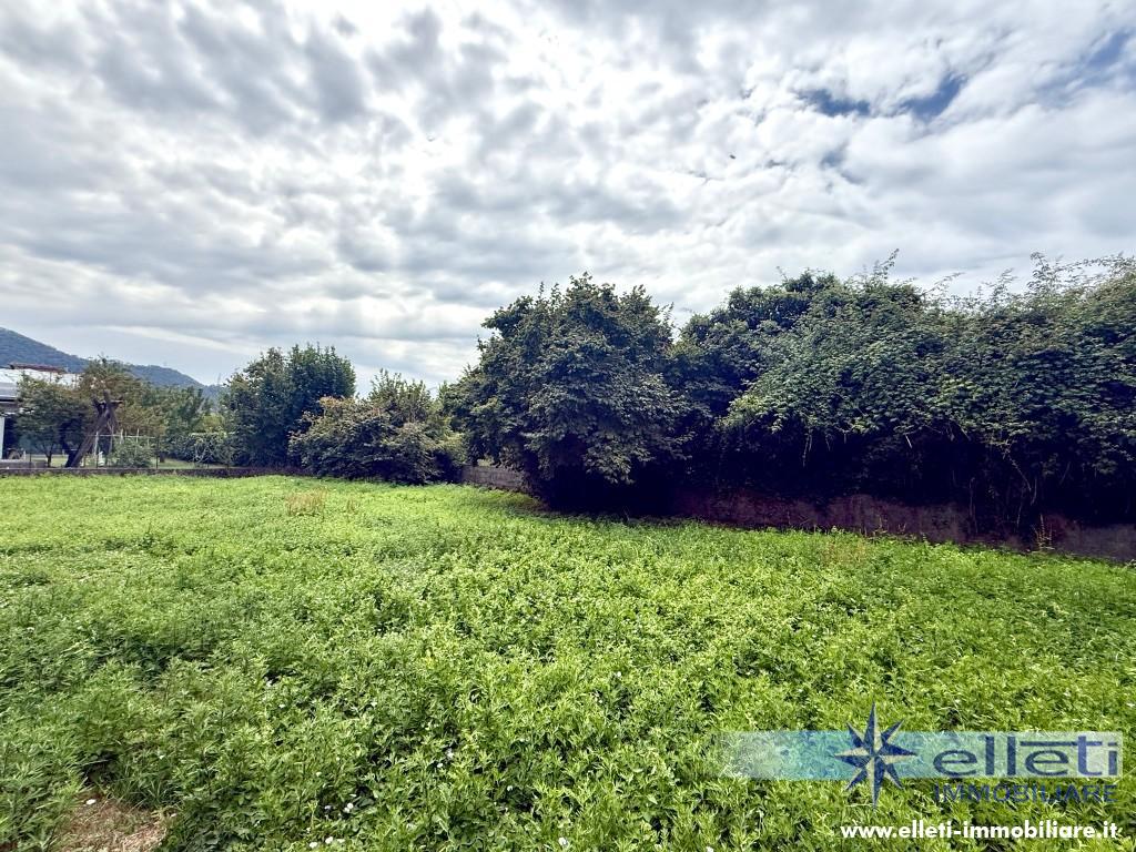 Casa indipendente in vendita, Massa mirteto