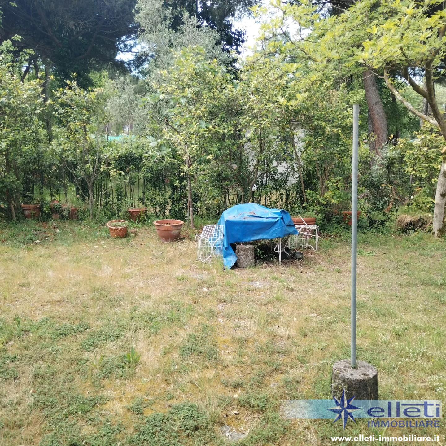 Casa indipendente con giardino, Massa ricortola