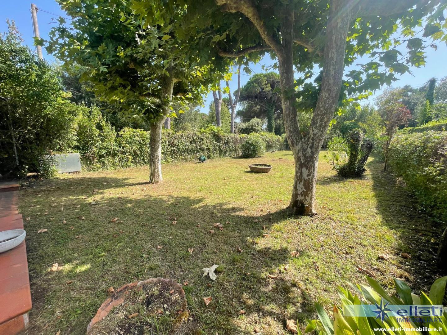 Casa indipendente con giardino, Massa ronchi