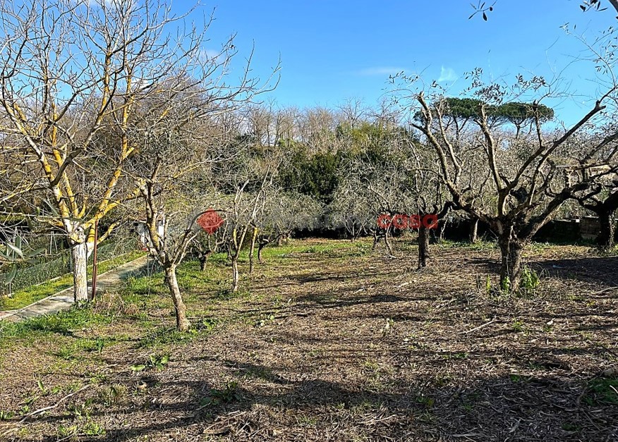 Rustico con giardino a Aprilia